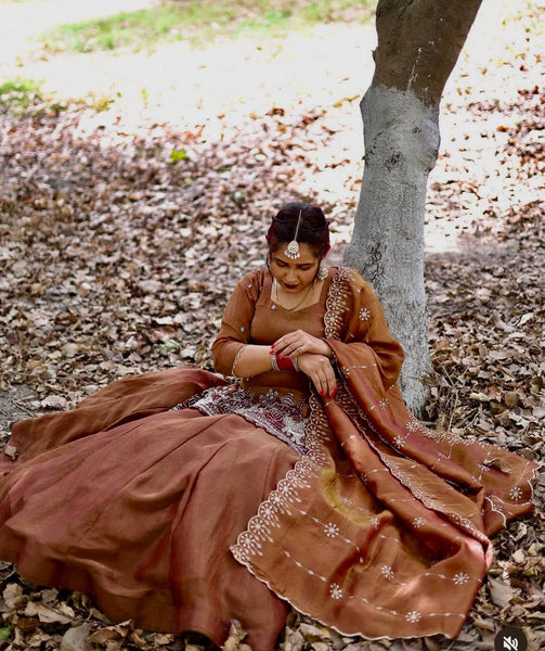 Elegant Brown Embroidered Lehenga Suit with Dupatta – Festive & Wedding Wear