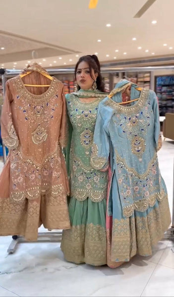 Elegant Sky Blue Embroidered Anarkali Suit with Golden Detailing