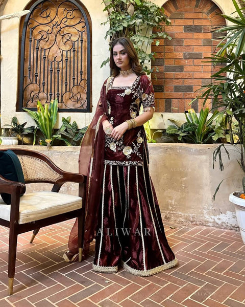 Royal Velvet Embroidered Sharara Suit for Women