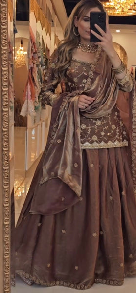 Elegant Brown Embroidered Lehenga Top Set with Dupatta