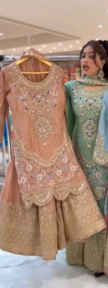 Elegant Sky Blue Embroidered Anarkali Suit with Golden Detailing